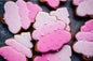 Customizable Decorated Sugar Cookies - Variety Bundle - (One Dozen)